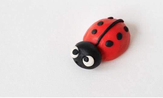 owady z papieru|owady z papieru|owady z papieru