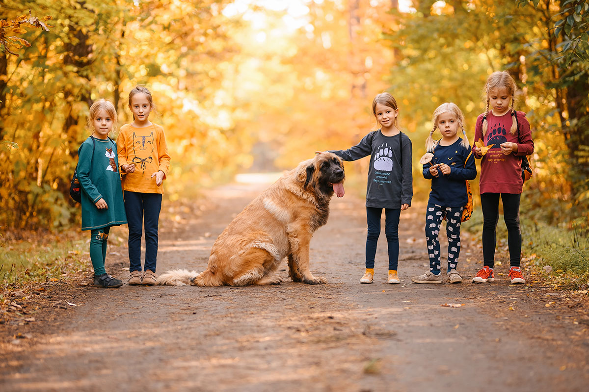 Grupa dziewczynek stoi na drodze z psem podczas jesiennego spaceru.