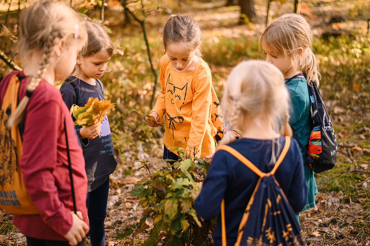  Grupa dziewczynek bawi się zbierając kolorowe jesienne liście w lesie.