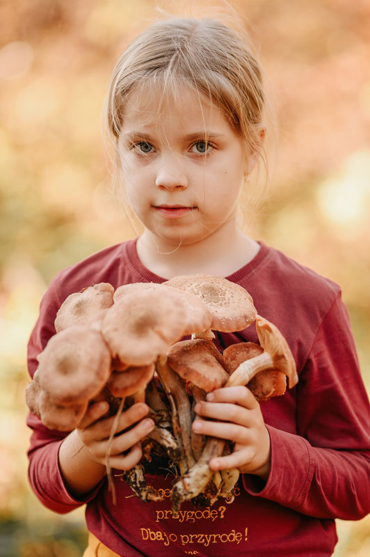 Dziewczynka w czerwonej bluzce trzyma w rękach leśne grzyby.