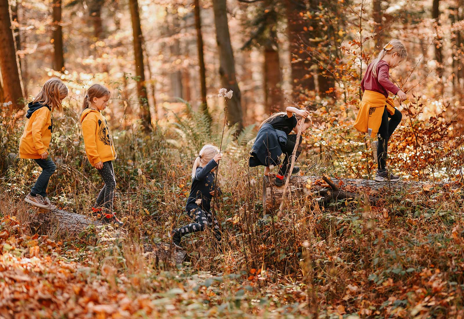 Grupa dziewczynek wędruje po pniu drzewa podczas spaceru w lesie.
