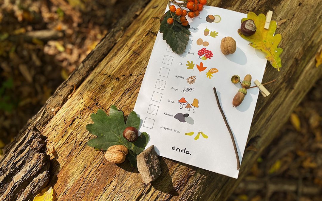 Poszukiwanie jesiennych skarbów – pobierz checklistę i sprawdź ile znajdziesz