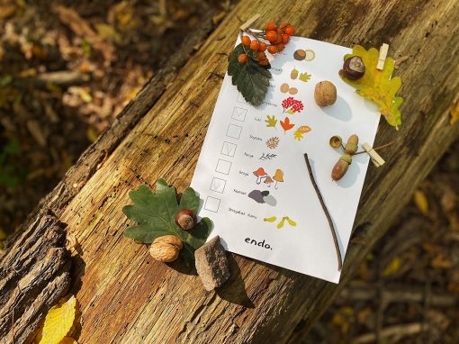 Poszukiwanie jesiennych skarbów – pobierz checklistę i sprawdź ile znajdziesz