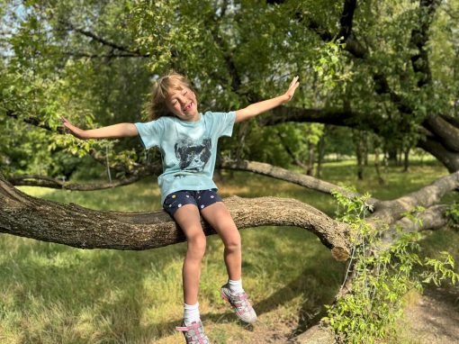 5 umiejętności przedszkolaka, które warto szlifować przed pójściem do szkoły