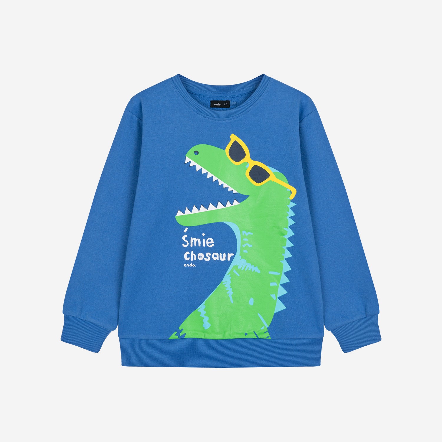 Boy's sweatshirt with a dinosaur, blue, 3-8 years old