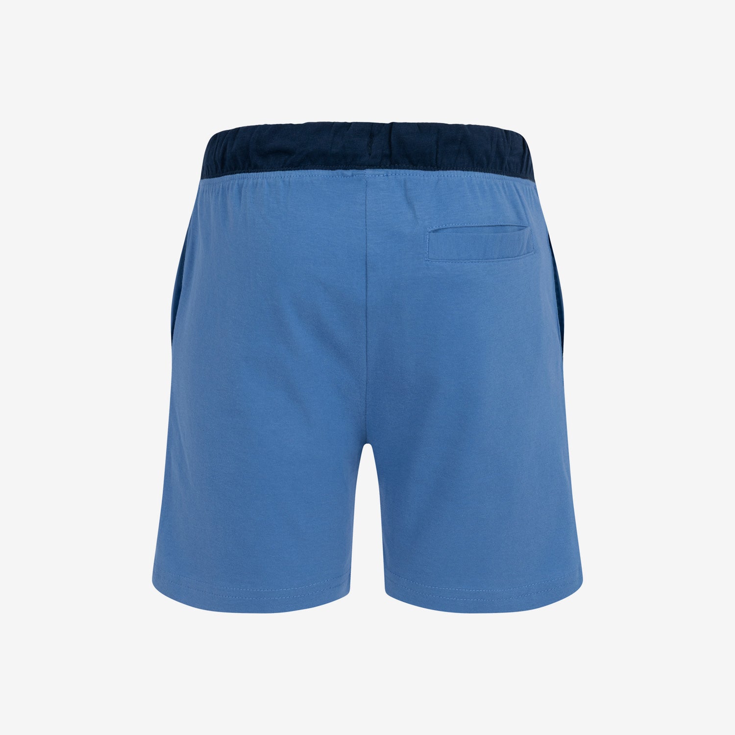 Wielbłądzi brązowy