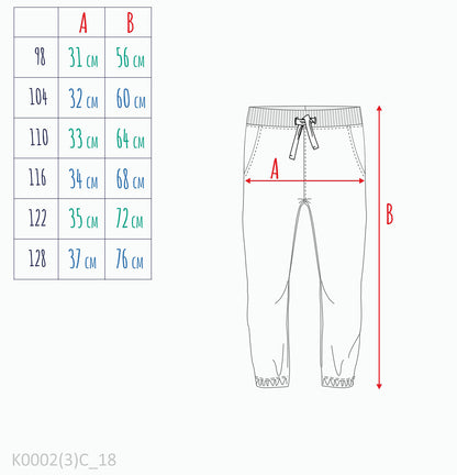 Spodnie dresowe dla chłopca, granatowe 3-8 lat