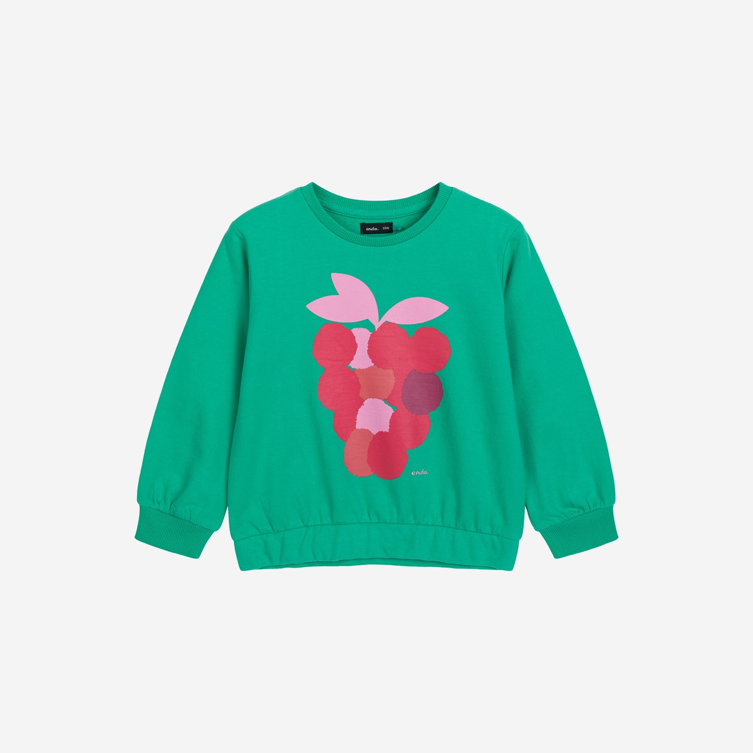 Raspberry green sweatshirt for girls, 3-8 years old