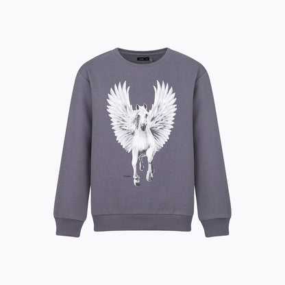 Bluza dla dziewczynki 9-13 lat, szary z pegazem