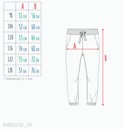Spodnie dresowe dla chłopca 3-8 lat