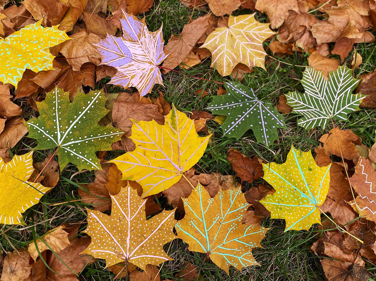 małżeństwo wspólnie przygotowuje posiłek