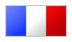 Flaga_Francja